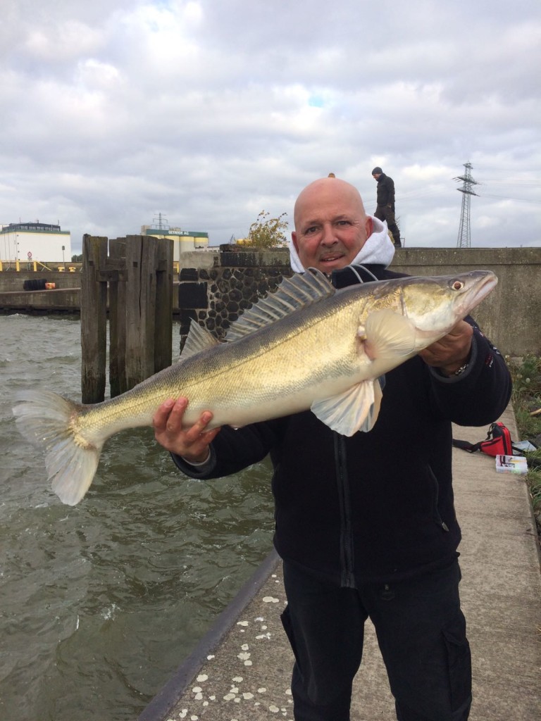 Mit der Hilfe seines Freunde konnte Peter diesen großen Fisch sicher in den Spundwandkescher bugsieren.