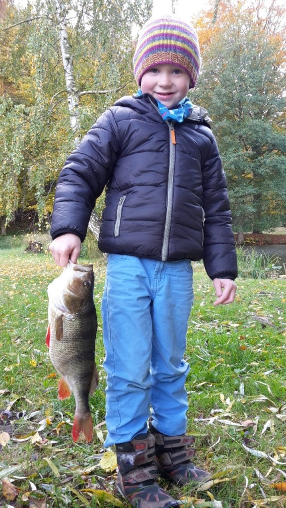 Der 5-jährige Carl fing seinen 34 Zentimeter langen Barsch in einem Privatgewässer. Foto: M. Podoll