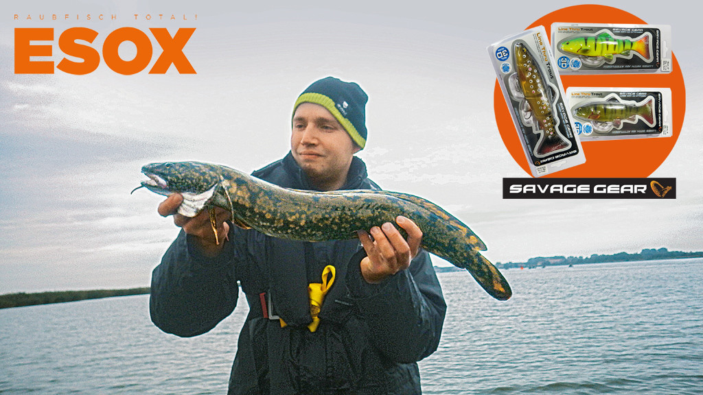 Der ESOX BIGFISH-Zone Gewinner mit seiner Quappe