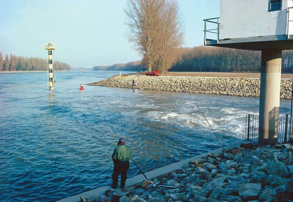 Warmwassereinläufe sind im Winter Top-Spots. Foto: Blinker