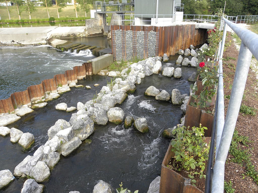 Fischtreppen gelten als absolute Speerzone für Angler. Foto: pb