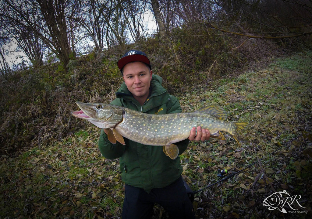 Robert mit seinem 74er Hecht. Der Fisch packte schon beim zweiten Wurf zu. Foto: R. Raditzky