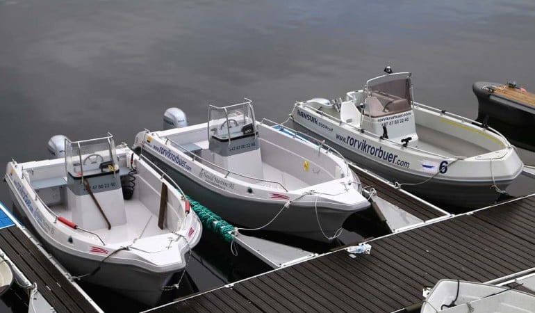 Die modernen Boot sind mit der nötigsten Technik wie Echolot und Plotter ausgestattet. Foto: D. Figge