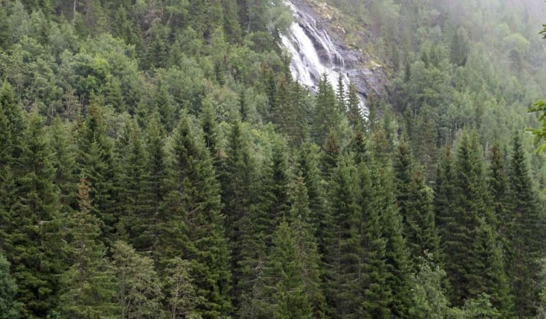 Auch landschaftlich hat Rørvik einiges zu bieten. Foto: D. Figge