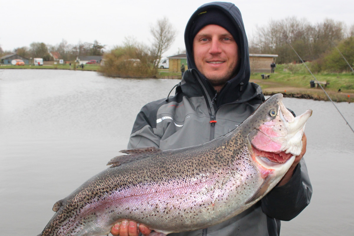 Solche fetten Lachsforellen sind auch dieses Jahr beim Big Cash Trout Cup 2017 von TFT wieder zu fangen. Foto: A. Pawlitzki