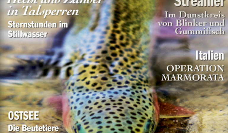 Fliegenfischen_Magazin_3_17