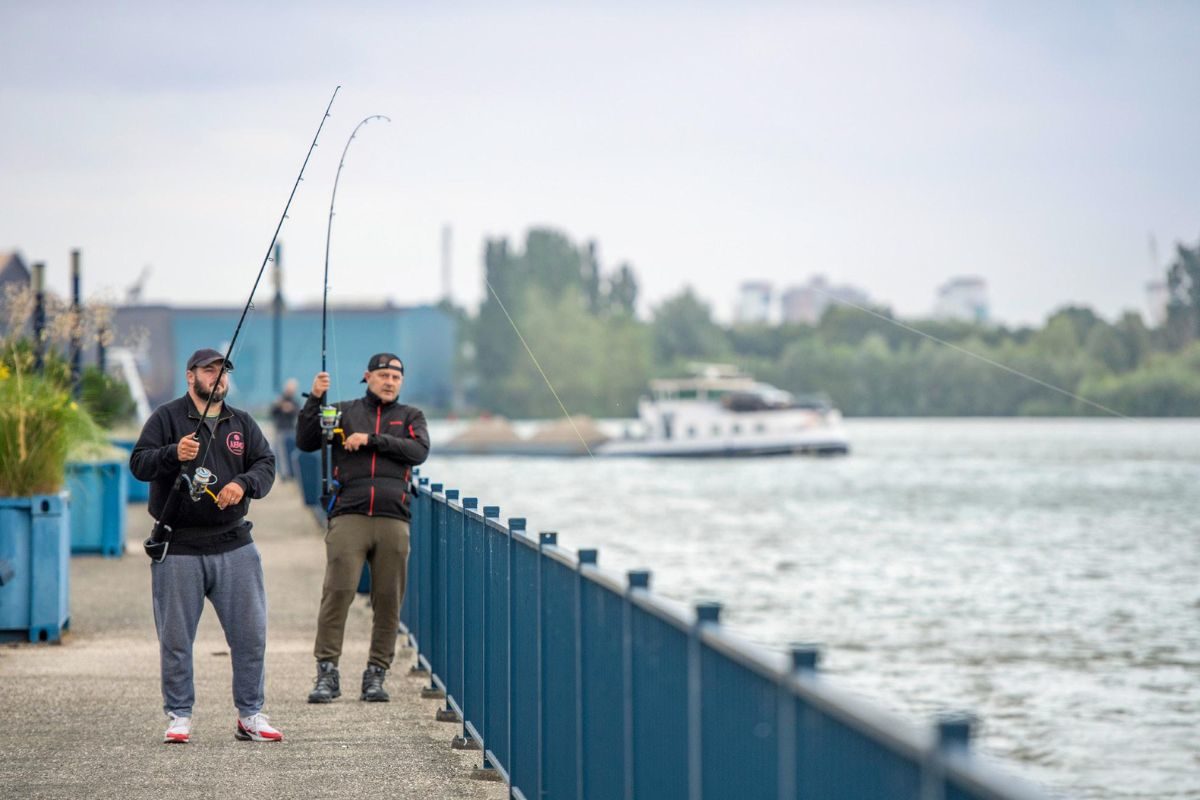 Krumme Rute beim Spinnfischen auf Wels