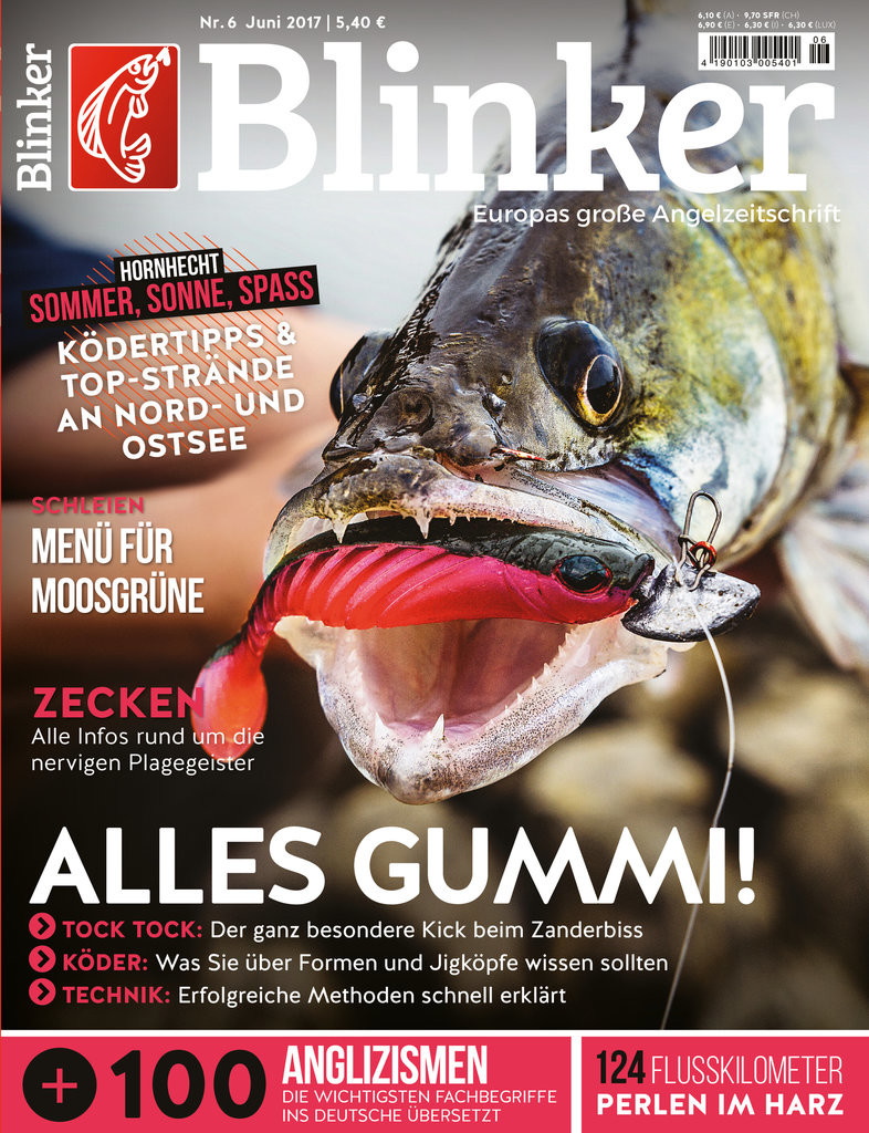 Blinker 06_17_Titel