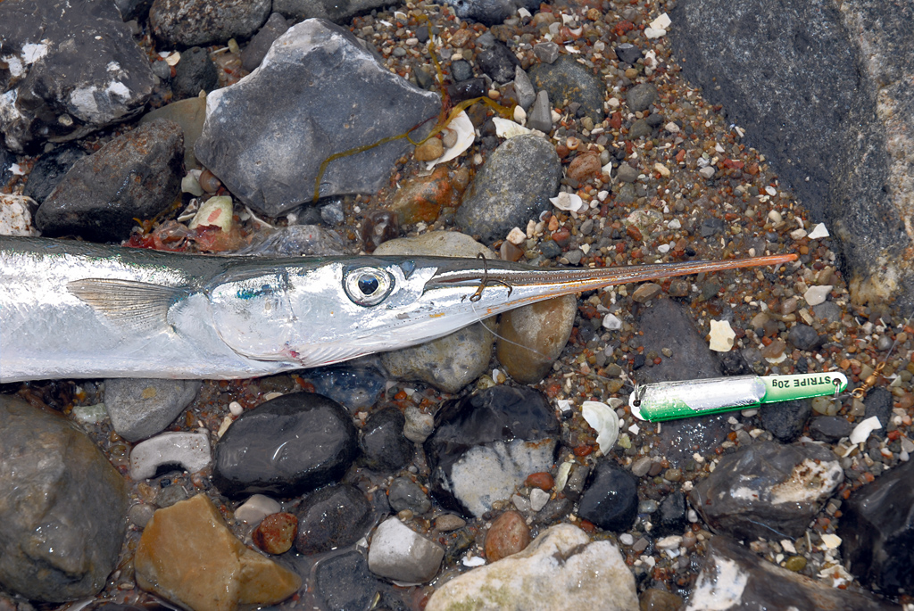 Ein kurzes Stück 0,30er Monofil zwischen Drilling und Blinker erhöht den Fangerfolg enorm. Es gibt weniger Fehlbisse und der Fisch kann sich nicht sich aushebeln.