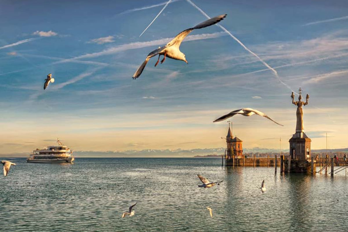 Felchenmast im Bodensee: Es brodelt am Bodensee. In dem gesunden Gewässer, das als Trinkreservoir dient, sollen bald Netzkäfige mit Millionen Felchen schwimmen. Foto: pb