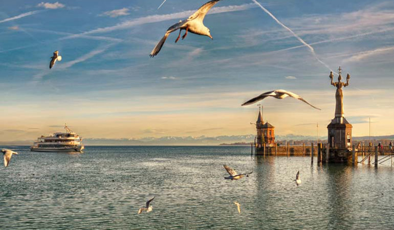 Felchenmast im Bodensee: Es brodelt am Bodensee. In dem gesunden Gewässer, das als Trinkreservoir dient, sollen bald Netzkäfige mit Millionen Felchen schwimmen. Foto: pb