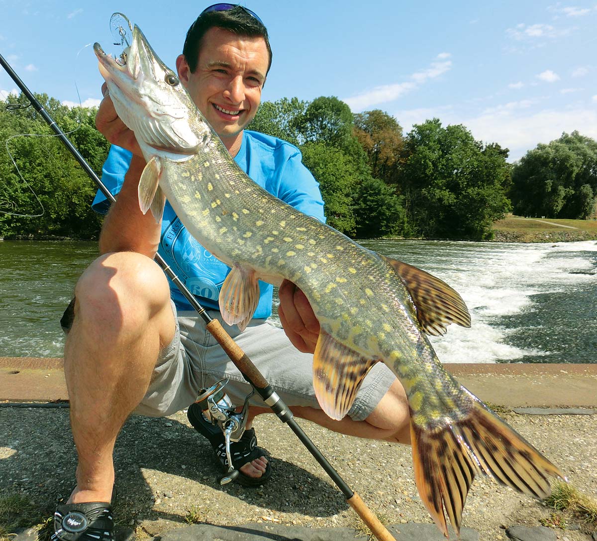 Клева fish. Какая рыба водится в реке Обь Сургут.