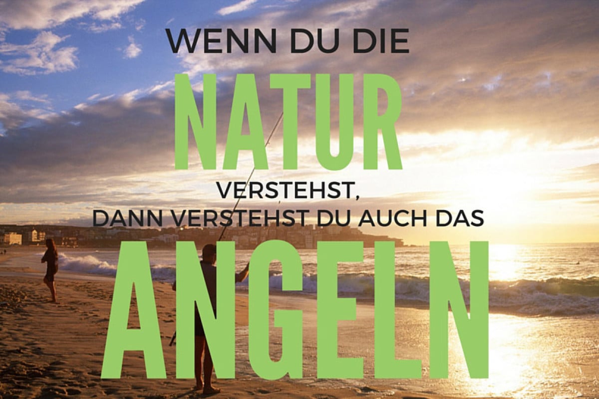 Angelspruch: Wenn Du die Natur versteht, dann verstehst Du auch das Angeln!