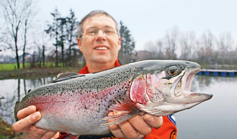 Lachsforellen wie diese gehören beim Forellenangeln im Herbst zur beliebten Beute der Angler. Foto: BLINKER/M. Kahlstadt