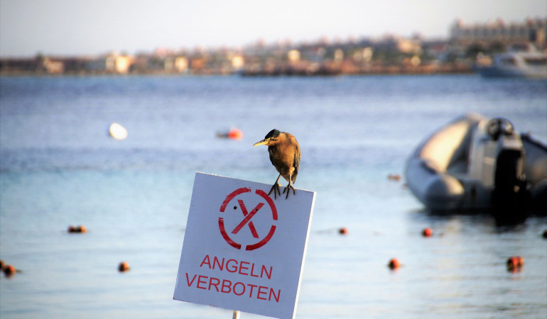 Das Angelverbot in Schutzgebieten der Ost- und Nordsee ist für alle Angler ein Schlag ins Gesicht. Foto: BLINKER/PB