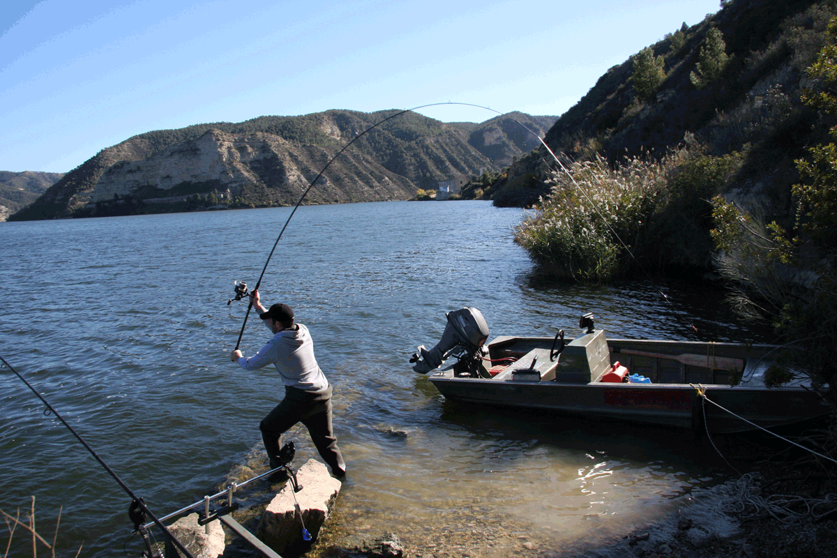 Karpfenangler beim Auswerfen