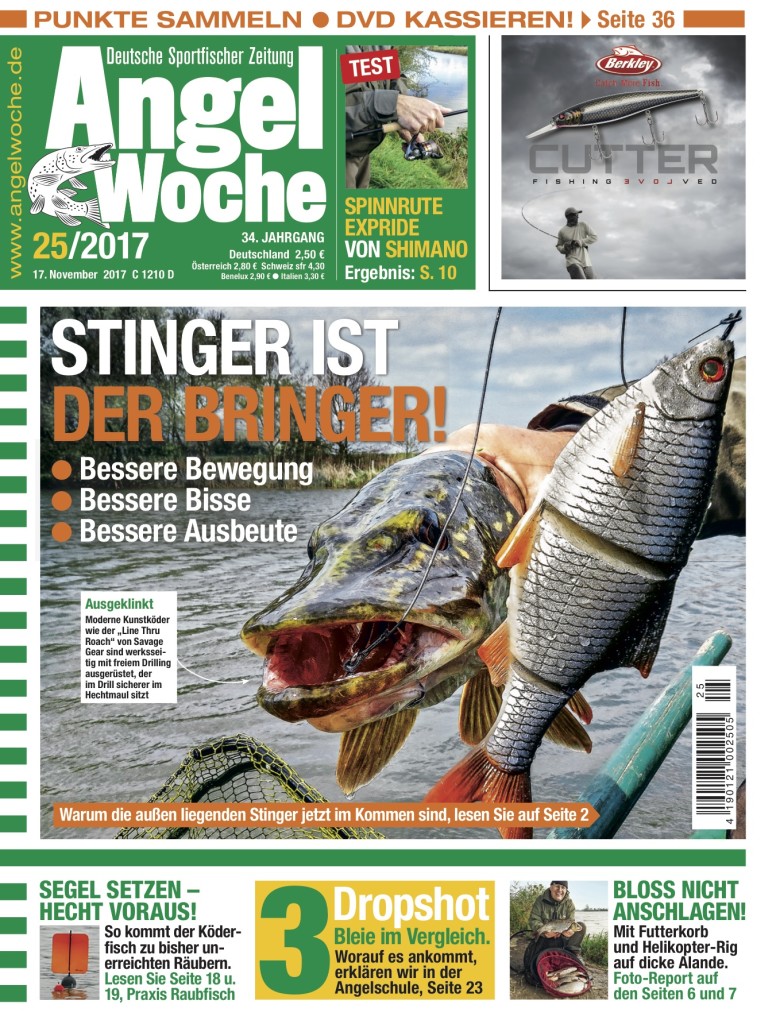 AngelWoche Titel 25/2017