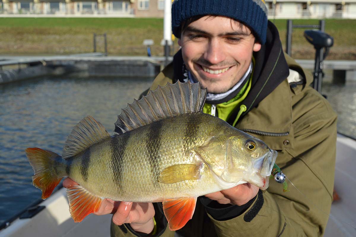 Der Autor mit einem dicken Winterbarsch, den er im ruhigen Wasser mit einem Gummifisch fangen konnte. Foto: Simon Torenbeek