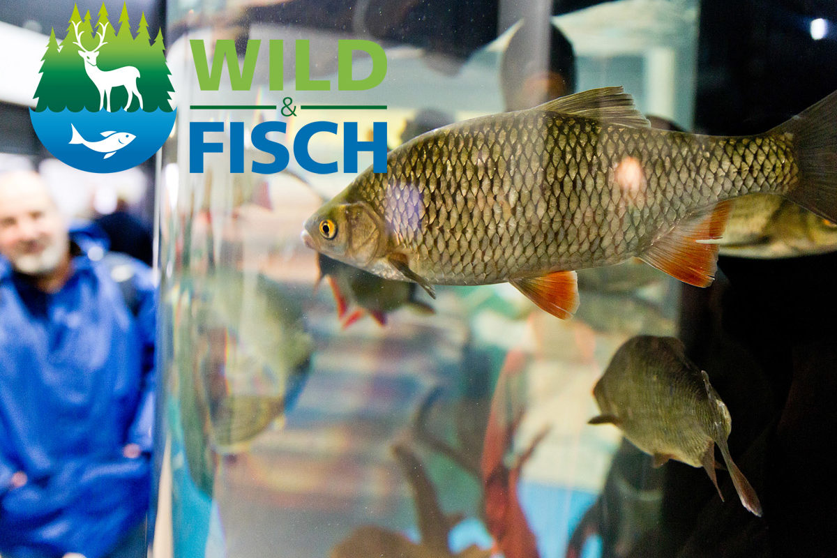 Die Messe Wild & Fisch 2018 findet bereits zum vierten Mal statt und ist sowohl für Jäger als auch Angler einen Besuch wert. Foto: Messe Offenburg / BRAXART