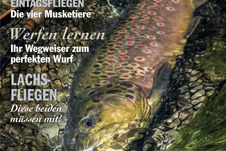 In FliegenFischen 4-18 erfahren Sie alles zum Thema "Fliegenfischen selber lernen" – und natürlich haben wir jede Menge spannende Berichte aus der Praxis für Sie!