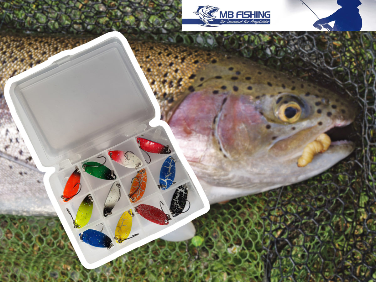 Diese Spoon-Box von MB-Fishing gibt es zu gewinnen.