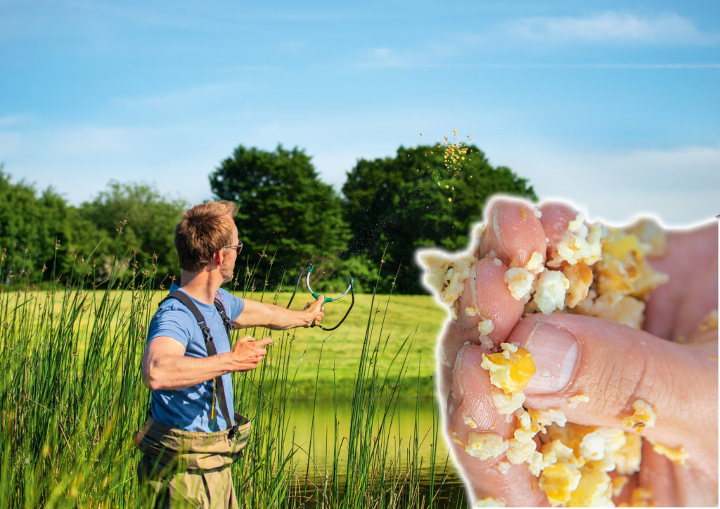 Weicht man beim Karpfenangeln mit Popcorn das Futter einige Minuten ein, lassen sie sich deutlich weiter schießen. Foto: BLINKER/W.Krause