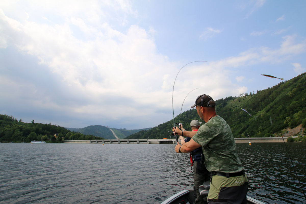 Beim Angeln in der Hohenwartetalsperre ist für jeden Angler etwas dabei. Egal ob Hecht, Zander oder Karpfen: Hier findet jeder sein Ziel- und vielleicht sogar auch Traumfisch. Foto: BLINKER/J. Radtke