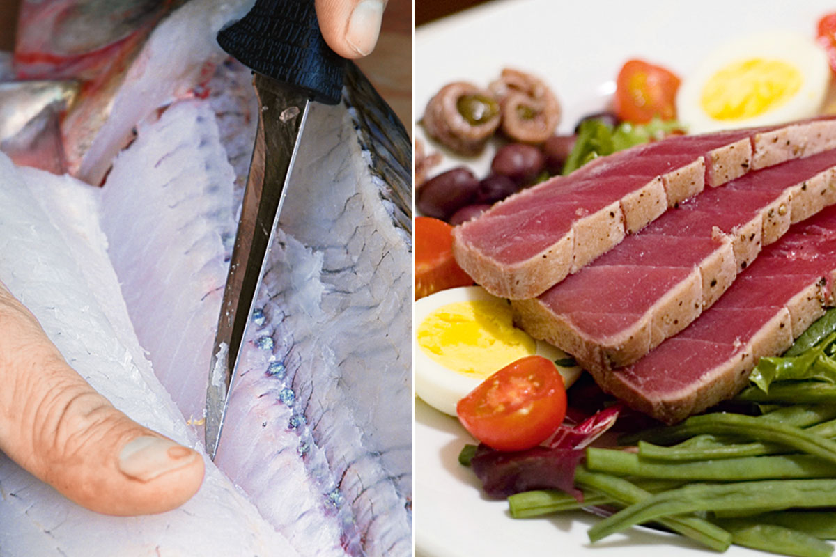 Foto rechts: Dunkles Fleisch haben viele Fischarten, die lange Strecken schnell schwimmen (Thune, Schwertfische). Foto links: Fischarten, die eher eine gemütliche Lebensweise bevorzugen, haben überwiegend weißes Muskel­fleisch. 