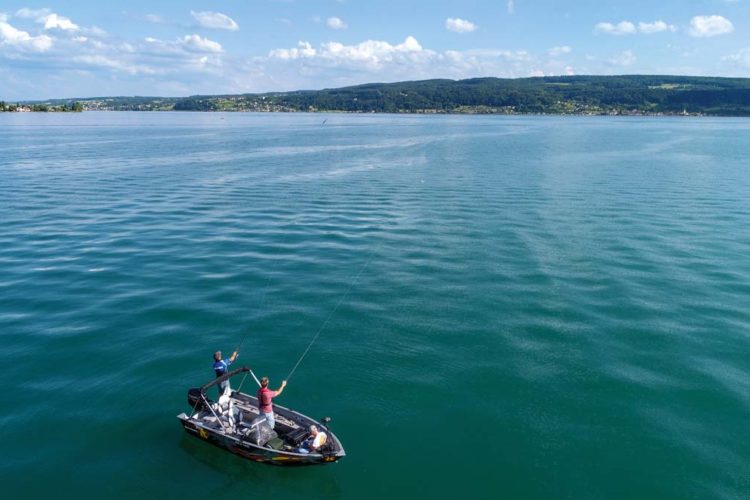 Wer auf dieser Gewässerfläche auf Freiwasserhechte wirft, braucht Vertrauen – und dabei ist der Untersee nur der kleinere Teil des Bodensees. Foto: F. Pippardt