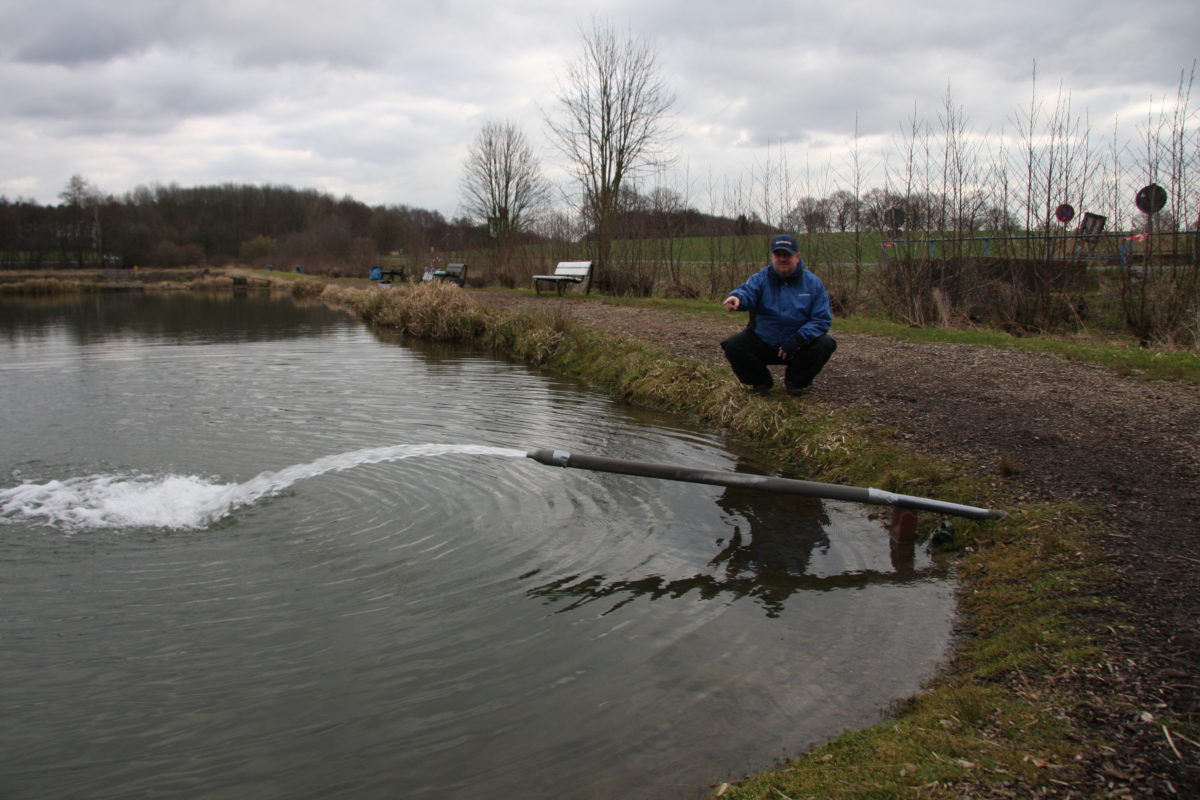 Am Einlauf kommt frisches Wasser in den See. Hier befindet sich ein echter Hotspot zum Forellenangeln. Foto: Gregor Bradler