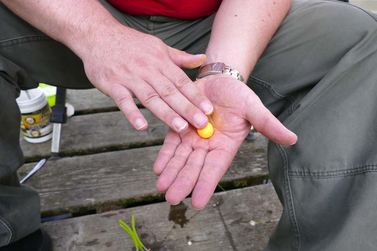 Jetzt werden die Pop-Up Boilies in Form gebracht. Foto: karpfen/Sebastian Schmidt