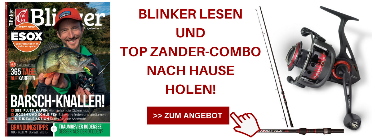 Zander-Combo-BLINKER-Abo-Angebot