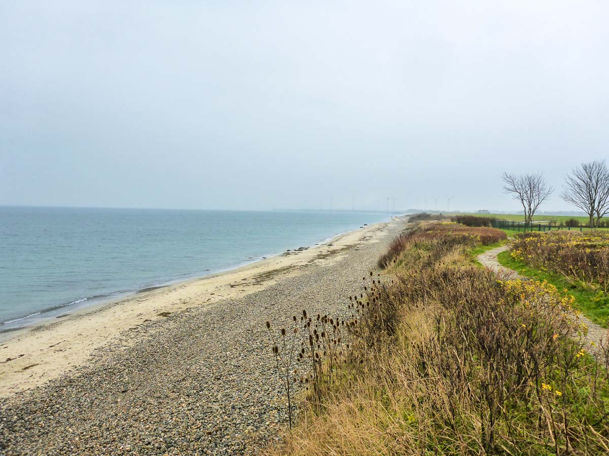 Der Strand bei Marienleuchte ist ein absolutes Top-Revier zum Meerforellen-Angeln auf Fehmarn. Foto: Blinker