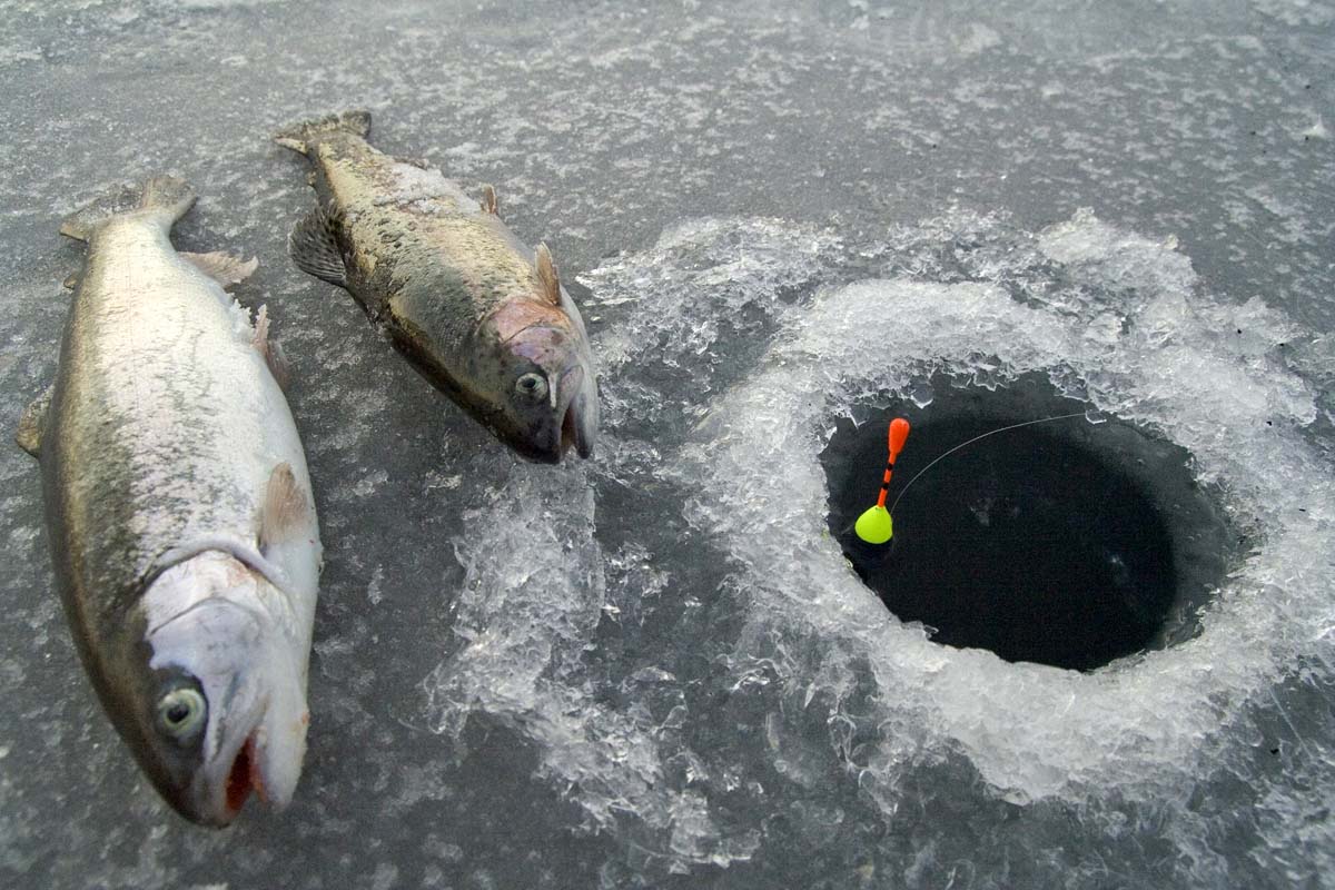 Wenn es die Bedingungen hergeben, lohnt sich auch ein Eisangeln am Forellensee. Foto: ANGELSEEaktuell