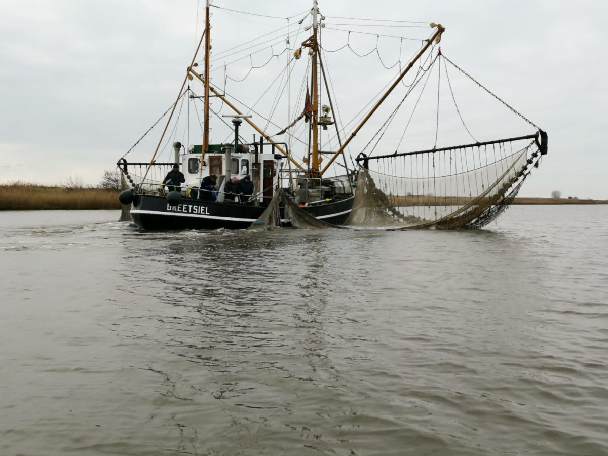 Auch ein Fischkutter half bei der Bestandskontrolle der Fische in den betroffenen BVO-Gewässern. Foto: E. Jibben