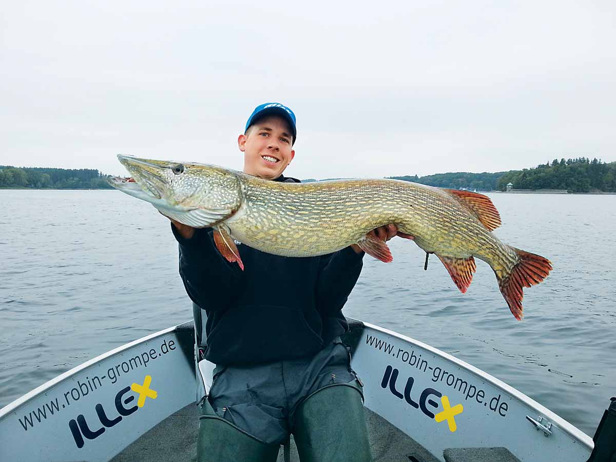 Angeln im Möhnesee: Wenig Struktur – viele Fische! - BLINKER