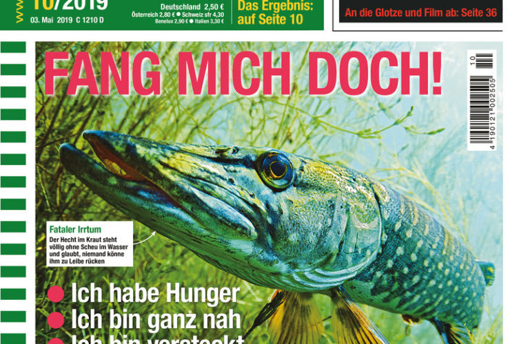 AngelWoche Ausgabe 10/2019