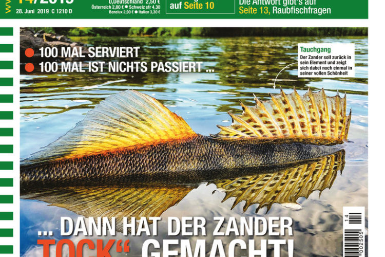 AngelWoche Ausgabe 14/2019 mit dem Thema Zanderangeln.