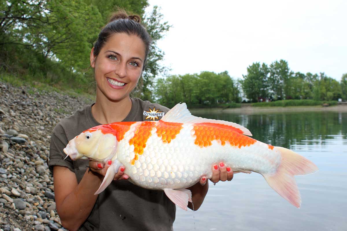 Claudia Darga ist Deutschlands bekannteste Karpfenanglerin. Nach einem Auftritt bei Markus Lanz im Jahr 2017 erstattete die PETA Anzeige gegen sie. Foto: Blinker / Claudia Darga