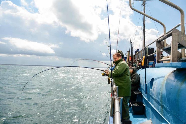 Die geplanten Fangbeschränkungen für Angler würden das Dorschangeln auf der Ostsee uninteressant machen. Foto: Blinker/Archiv