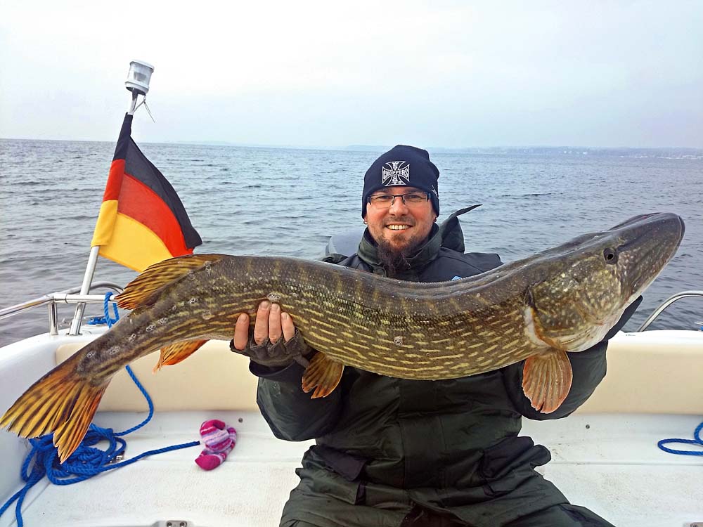 Guiding-Gast Ricardo mit einem der wahren Rügen-Monster. So ein Fisch lässt das Flachwasser erbeben.