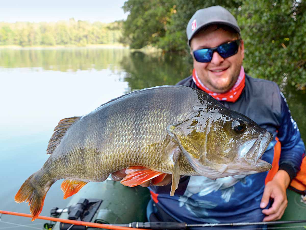 Wegen solcher Barsche fischt Matze gerne mit den Krawallmachern. Foto: Matze Brauch