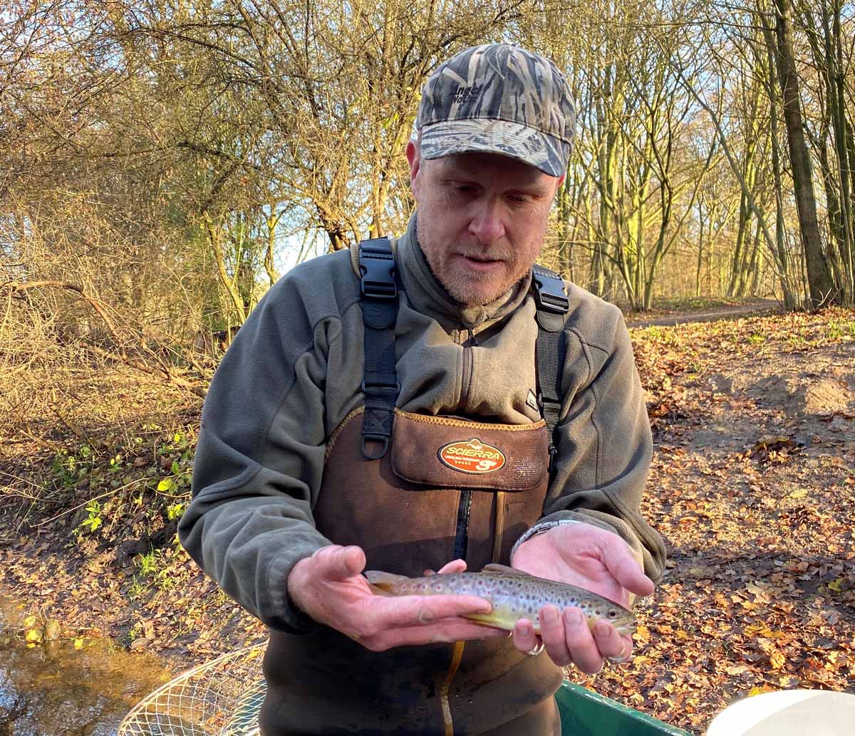 Wenn die Fische zwei Jahre alt sind, beginnen sie damit, in die Nordsee abzuwandern. Foto: Frank Schlichting