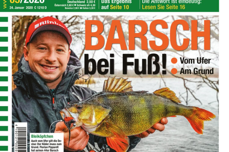 AngelWoche Titelbild Ausgabe 03/2020