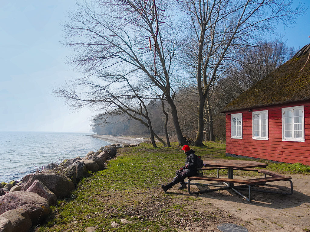 Die Ostküste der dänischen Ostseeinsel ist nicht nur wunderschön, sondern auch oft voller Fisch. Foto: BLINKER / J. Radtke