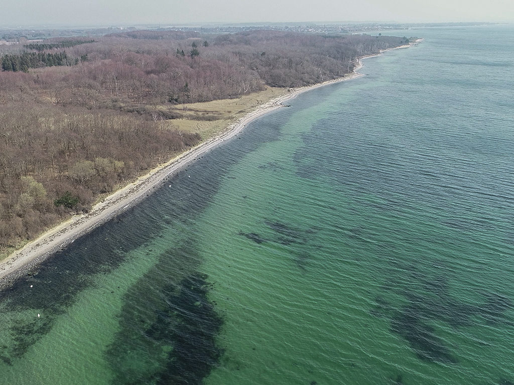 An der Ostküste von Falster befindet sich die Rinne dicht unter Land – meist braucht man gar nicht ins Wasser zu gehen, um die interessanten Plätze abzusuchen. Foto: T. Wolf