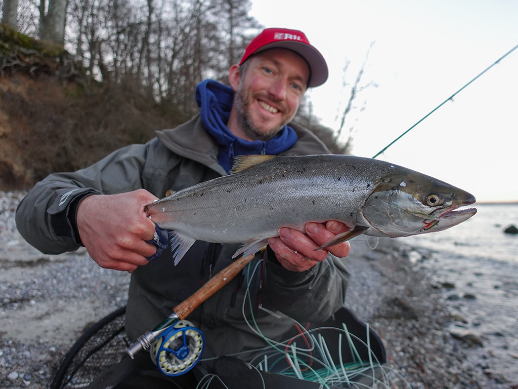 Wer Glück hat, kann mit dem richtigen Wind tagelang mitten im Fisch stehen. Foto: BLINKER / F. Pippardt