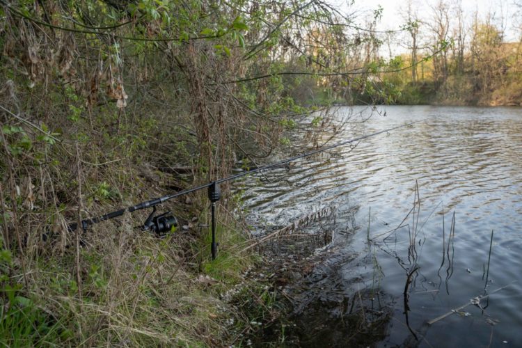 Karpfenrute am Ufer