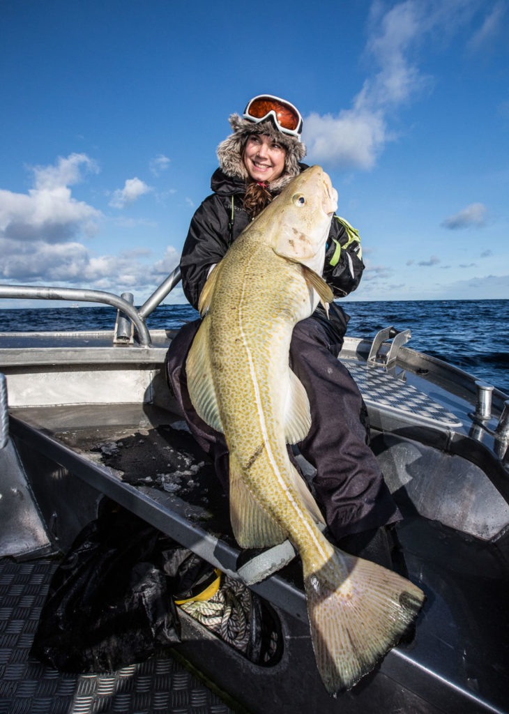 Der Skrei wird bis zu 1,70 Meter lang – und macht damit so manchem Menschen Konkurrenz. Foto: M. Arnham