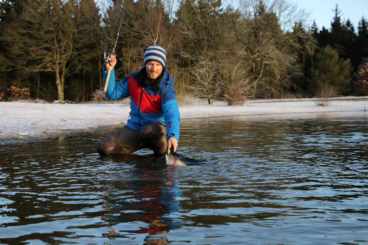 Bei Randeis und eisigem Wasser überzeugte der extrem langsam geführte 8-Gramm-Spoon eine fast 3 Kilo schwere Forelle. Foto: F. Pippardt